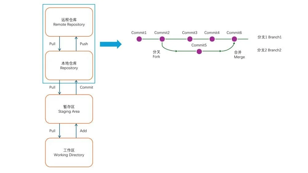 本节一图流